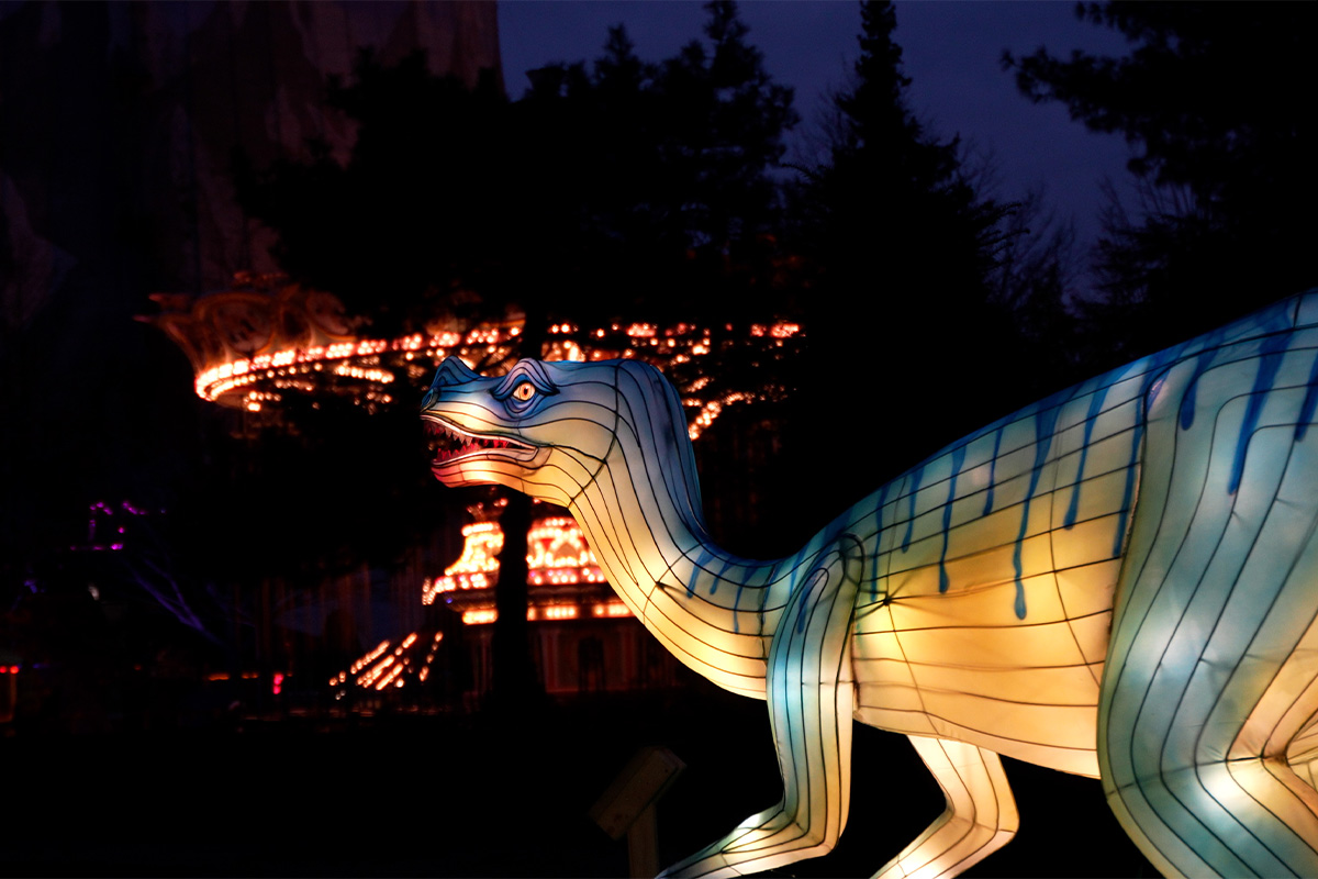 Entreeticket Wunderlight in Wunderland Kalkar