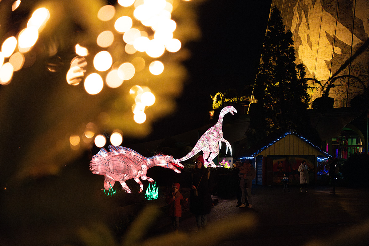 Entreeticket Wunderlight in Wunderland Kalkar