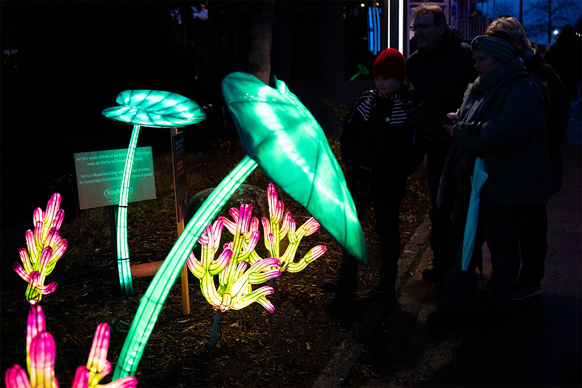 Entreeticket Wunderlight in Wunderland Kalkar