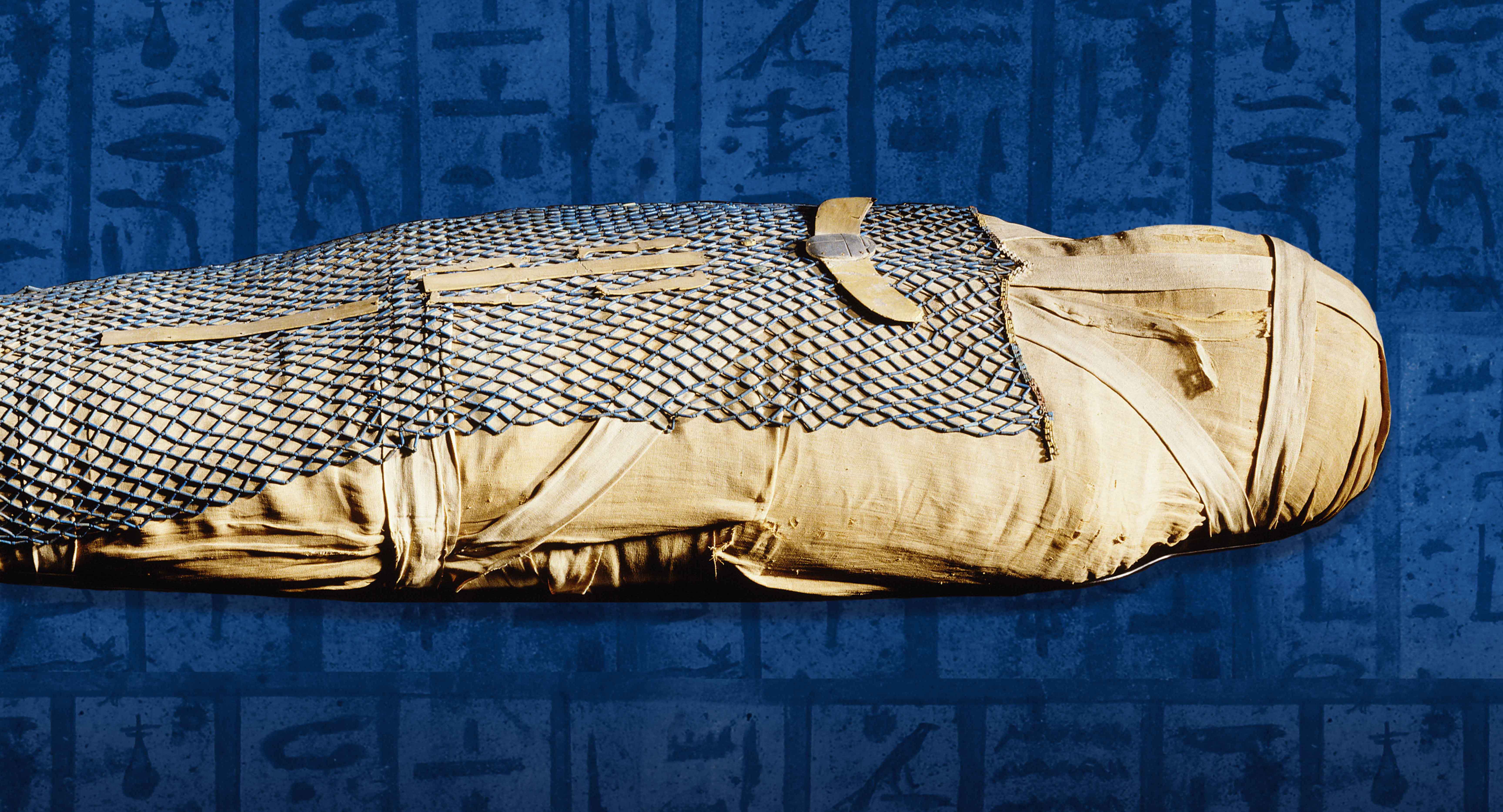 Bezoek de unieke expo met echte mummies in Xpo Center Bruges!