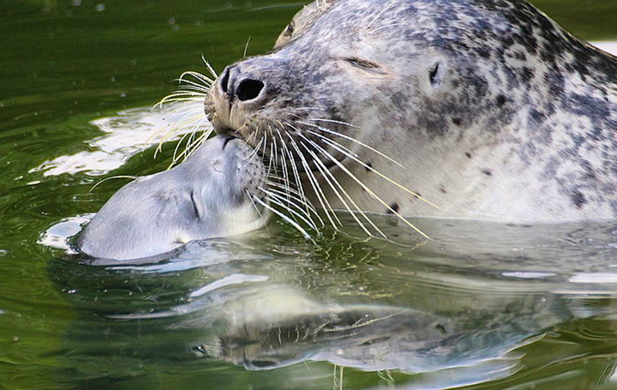 Entreeticket Zoo Osnabrück