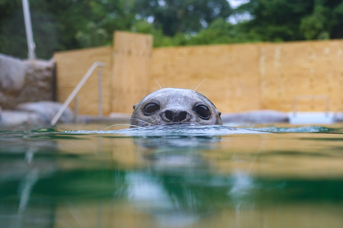 Entreeticket Zoo Osnabrück