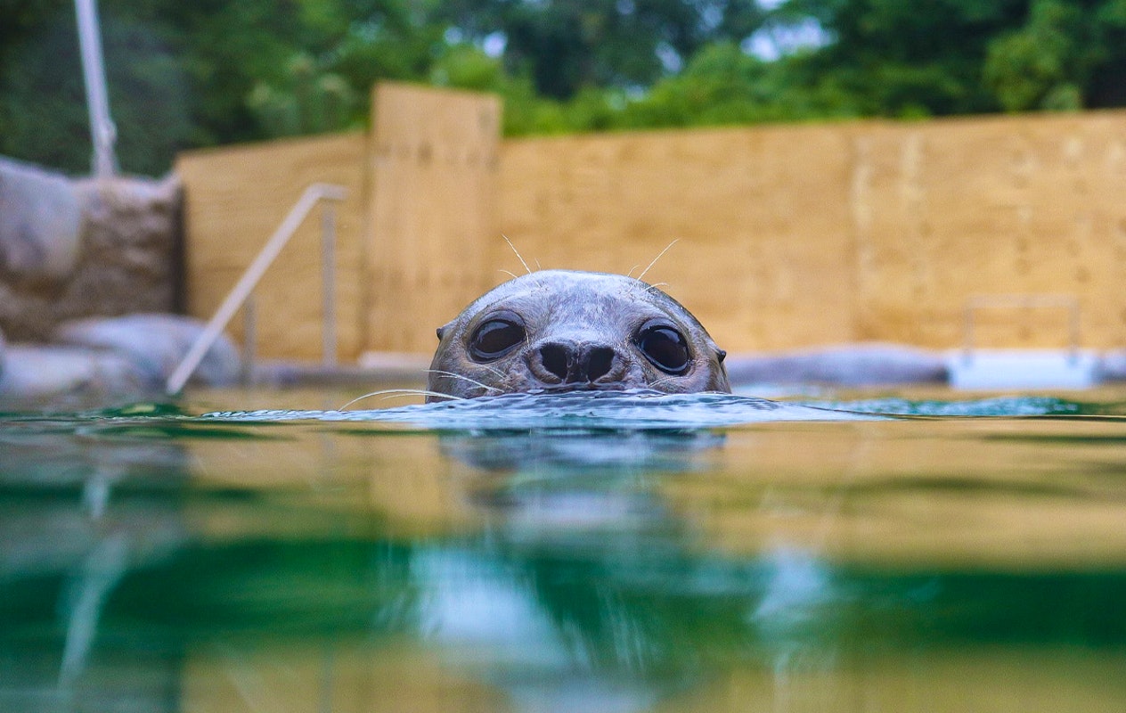 Entreeticket Zoo Osnabrück