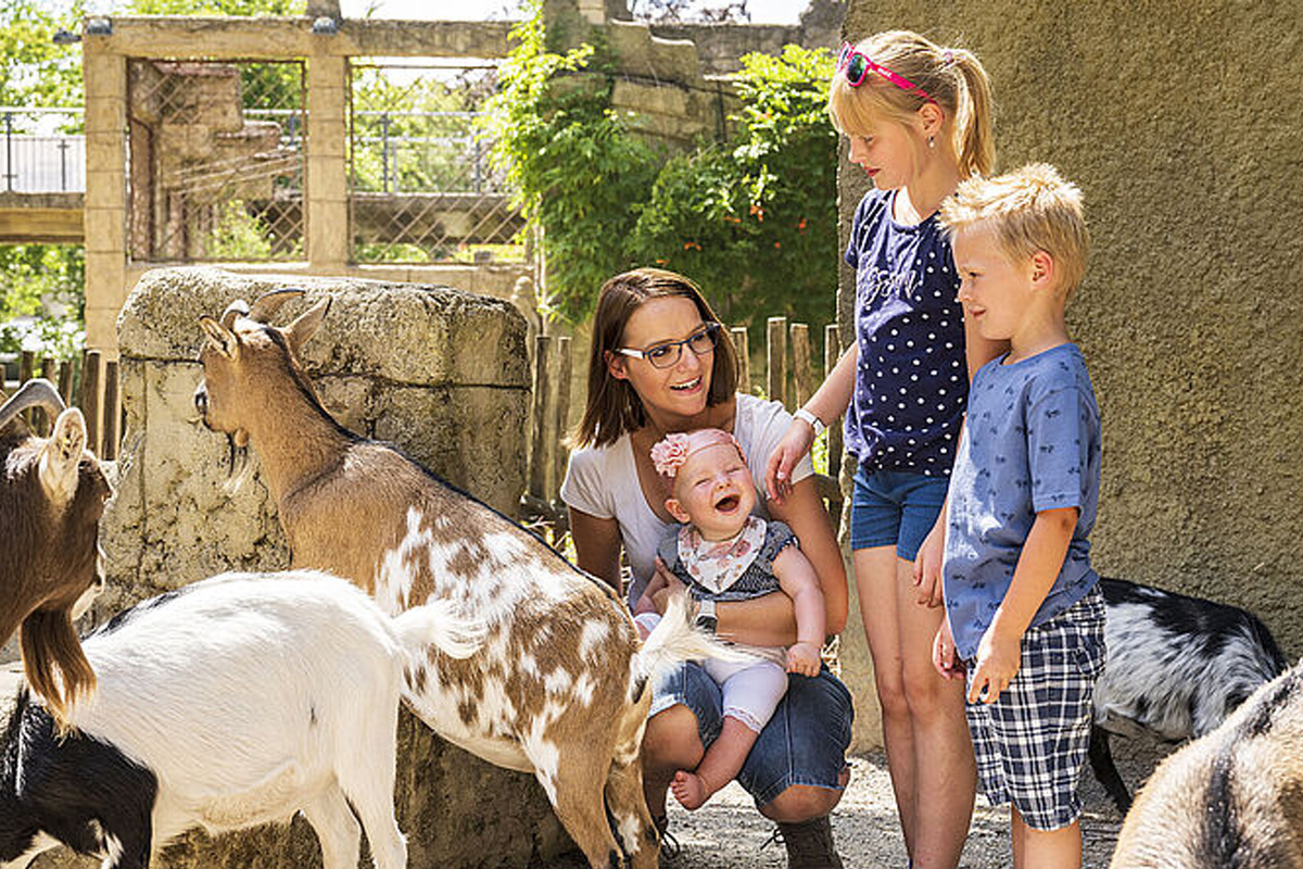 Entreeticket Zoo Osnabrück