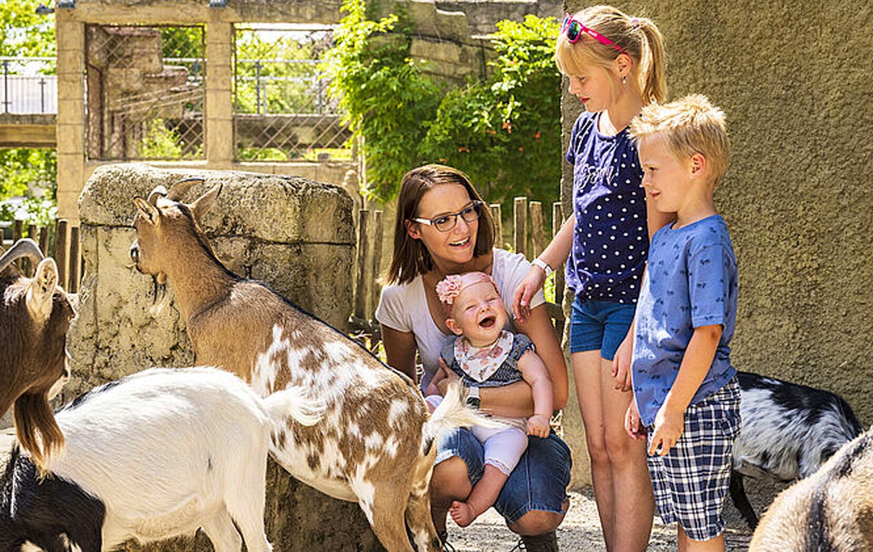 Entreeticket Zoo Osnabrück