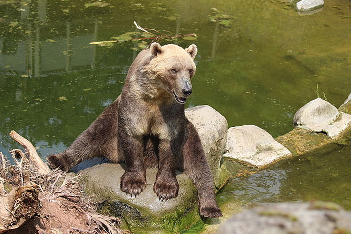 Entreeticket Zoo Osnabrück