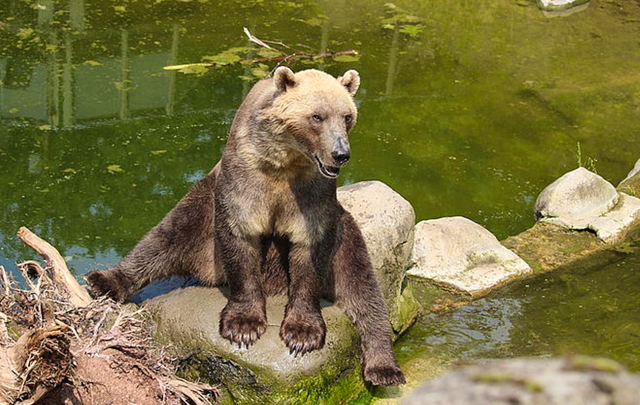 Entreeticket Zoo Osnabrück