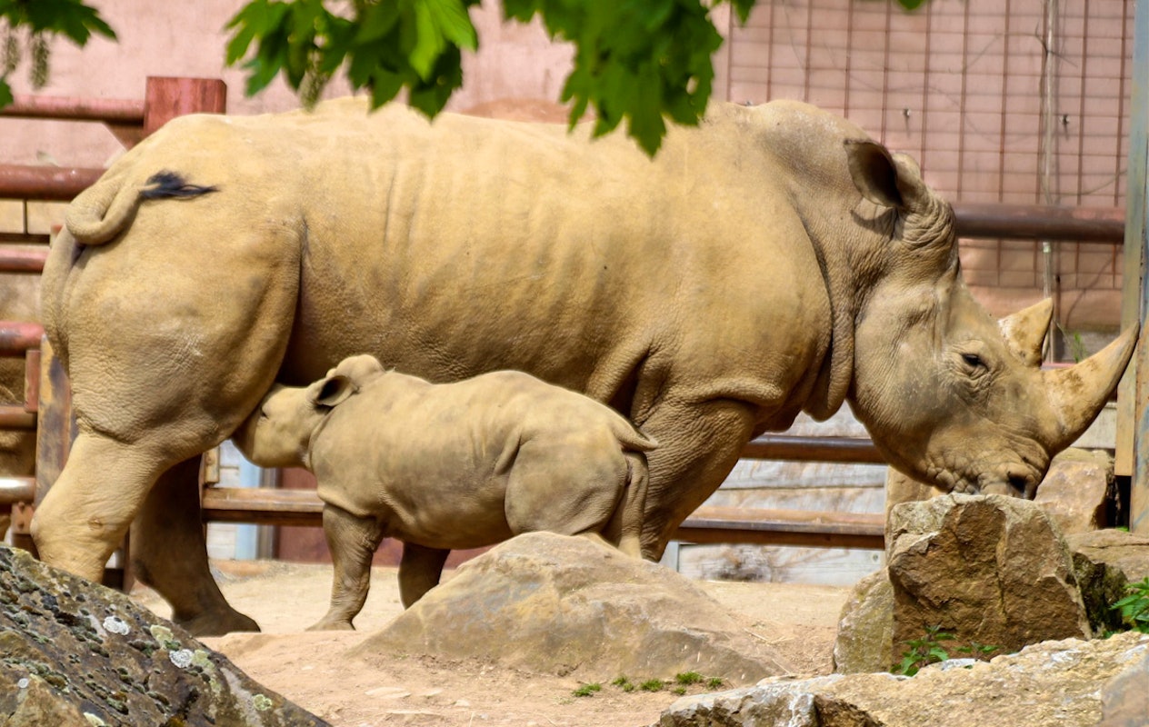 Entreeticket Zoo Osnabrück