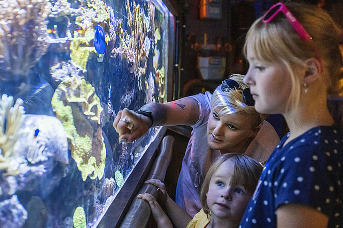 Entreeticket Zoo Osnabrück