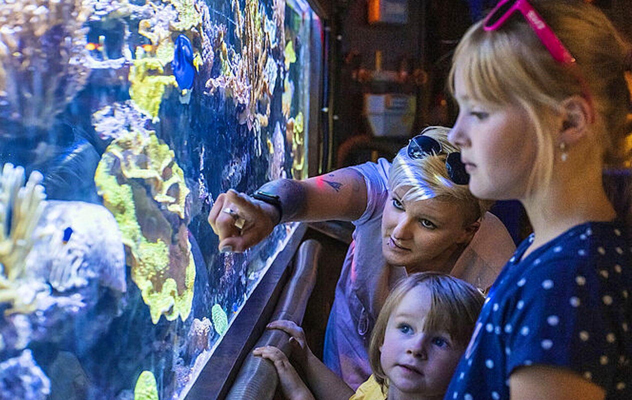 Entreeticket Zoo Osnabrück