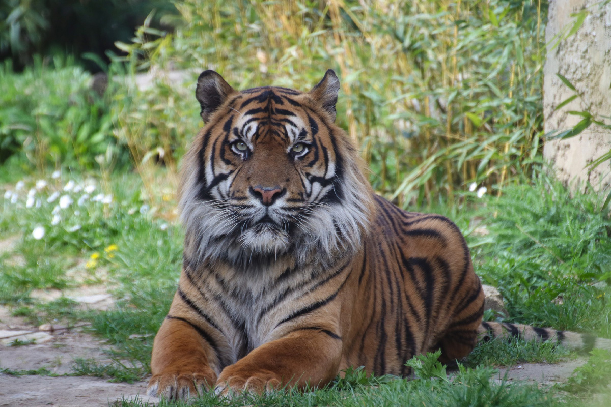 Entreeticket Zoo Osnabrück