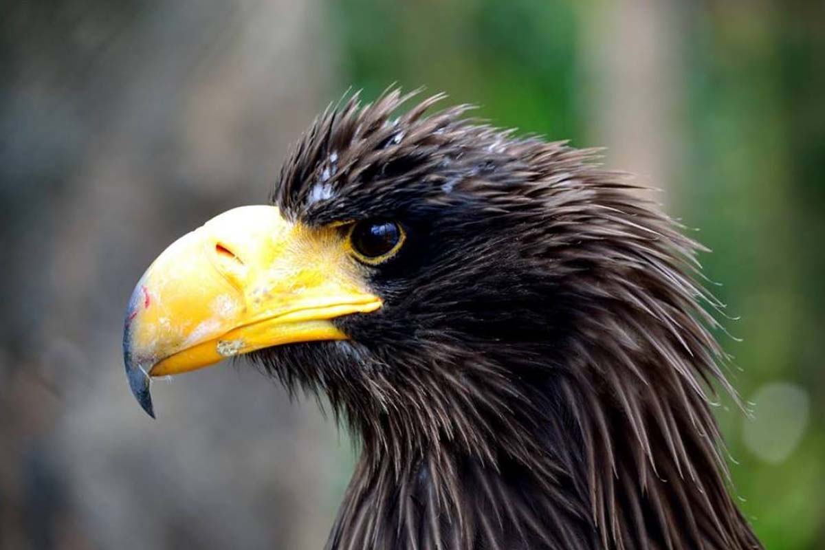 Entreeticket Zoo Veldhoven