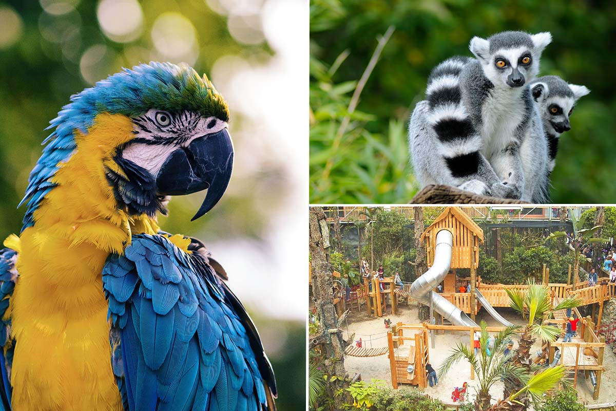 Entreeticket Zoo Veldhoven