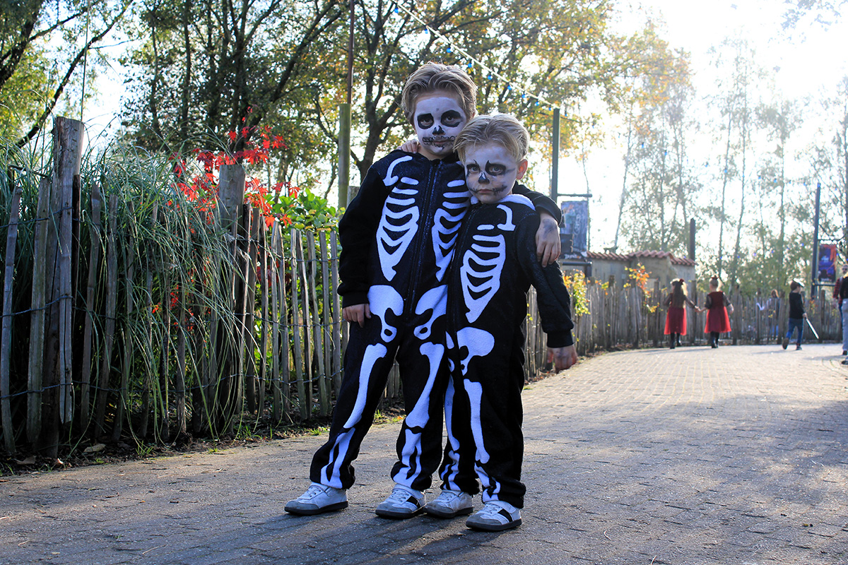 Entreeticket DippieBoe