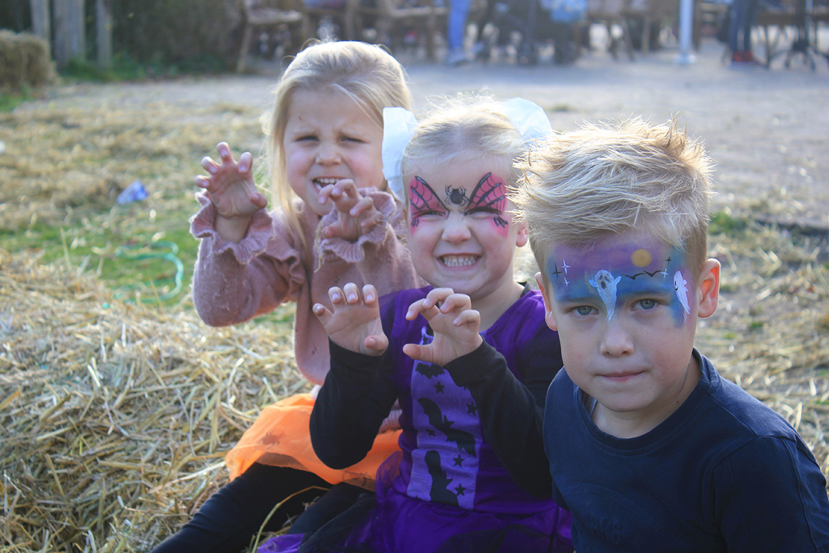 Entreeticket DippieBoe