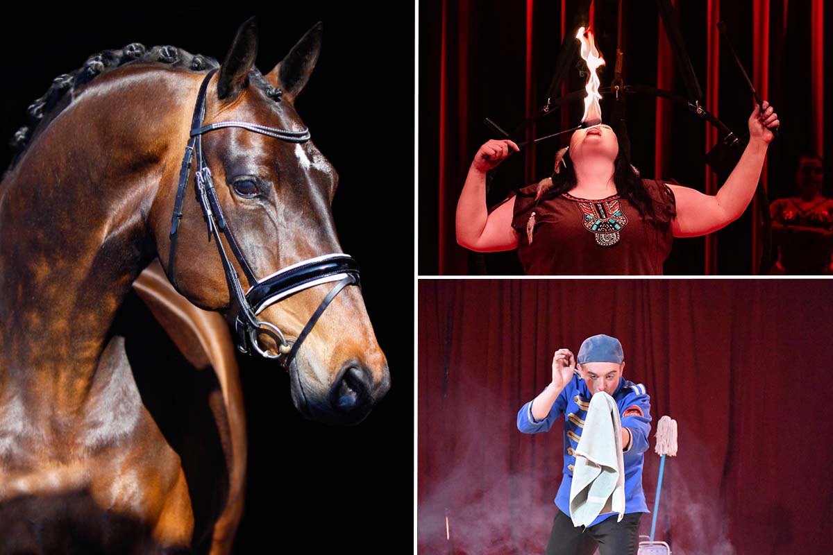 Entreeticket Paarden Circus Tetam