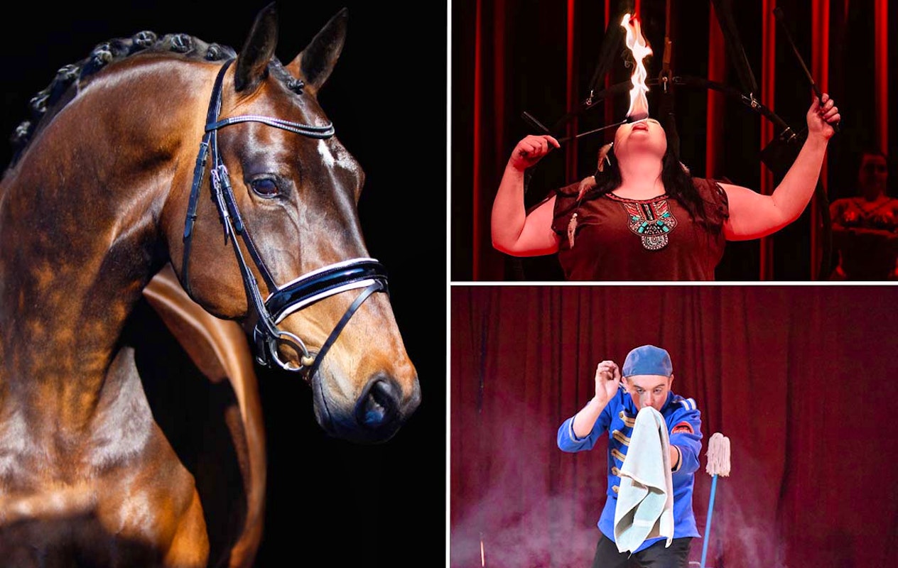 Entreeticket Paarden Circus Tetam