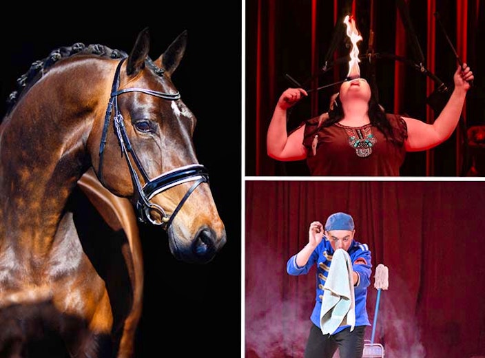 Entreeticket Paarden Circus Tetam