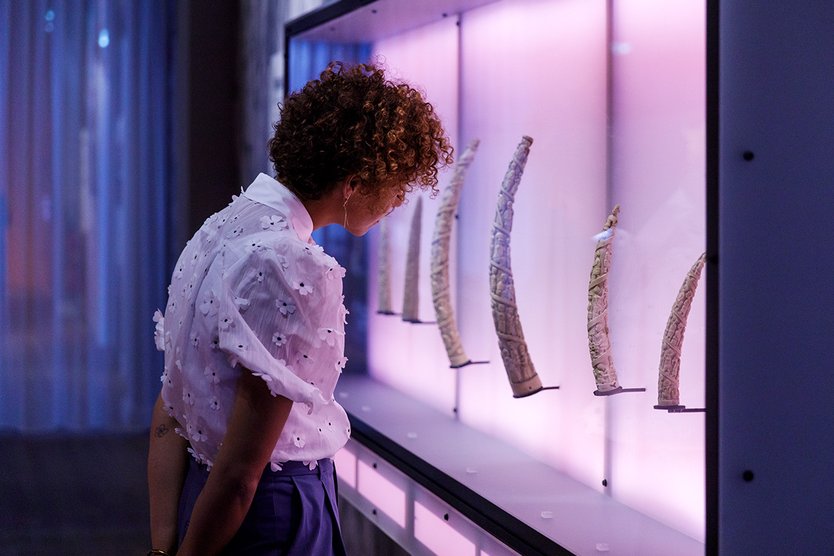 Entreeticket Wereldmuseum Rotterdam