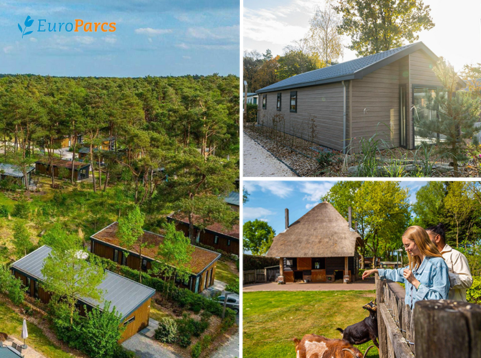 3 of 4 nachten verblijven bij EuroParcs De Wije Werelt (4 personen)