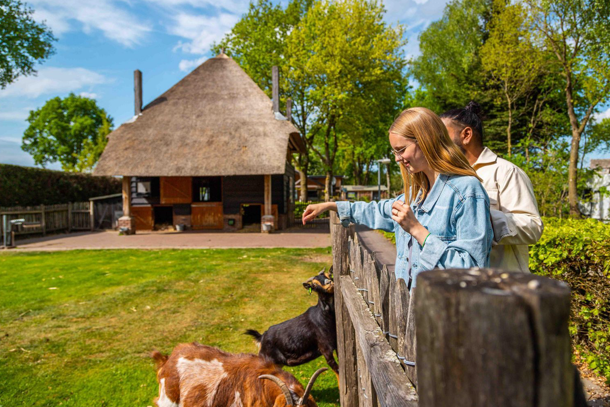 3 of 4 nachten verblijven bij EuroParcs De Wije Werelt (4 personen)