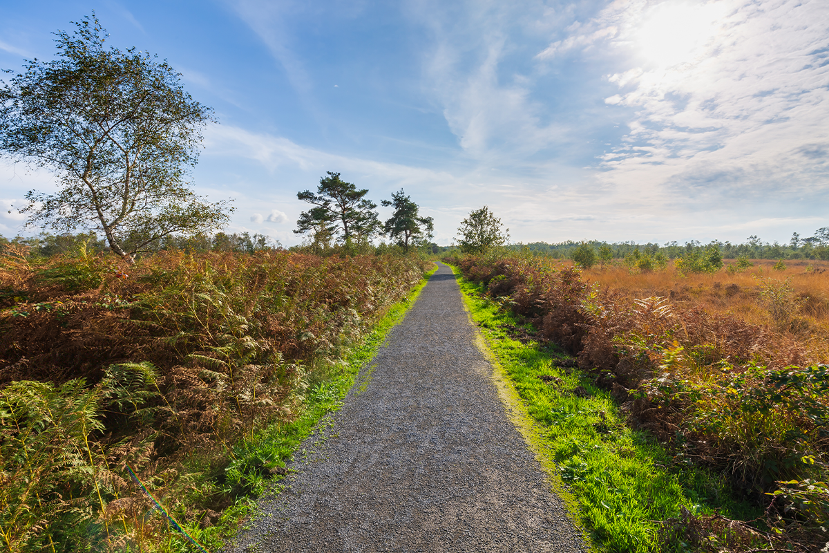 FatMax tocht door de Peel (2,5 uur)