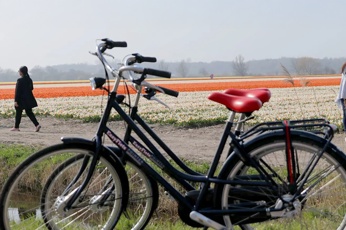 Fietstour Leiden/Tulpenroute + 2 drankjes