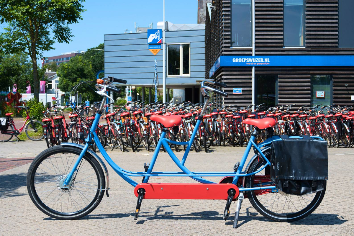 Fietstour Leiden/Tulpenroute + 2 drankjes
