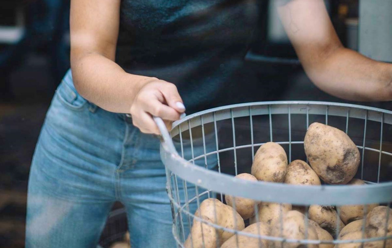 Friet + snack + drankje bij Dapp Frietwinkel Leiden