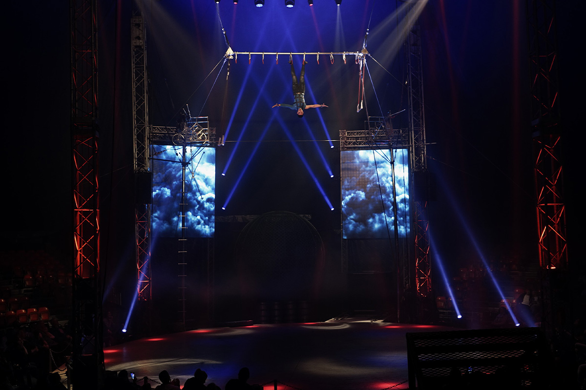 Entreeticket Great Christmas Circus