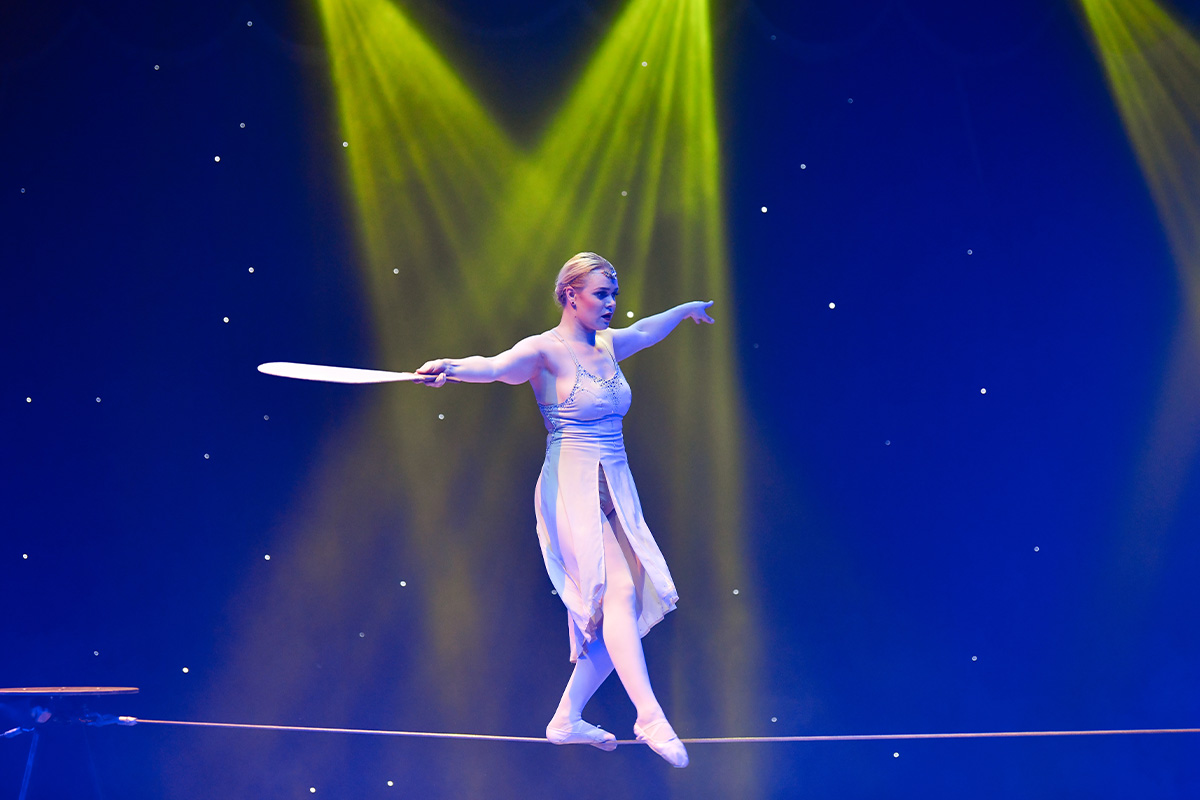 Entreeticket Great Christmas Circus