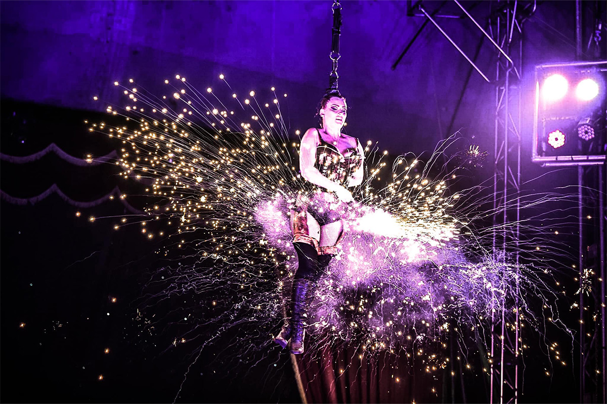 Entreeticket Great Christmas Circus