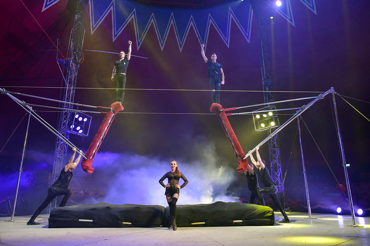 Entreeticket Great Christmas Circus