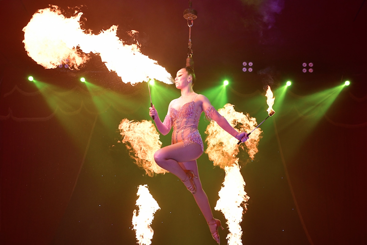 Entreeticket Great American Circus