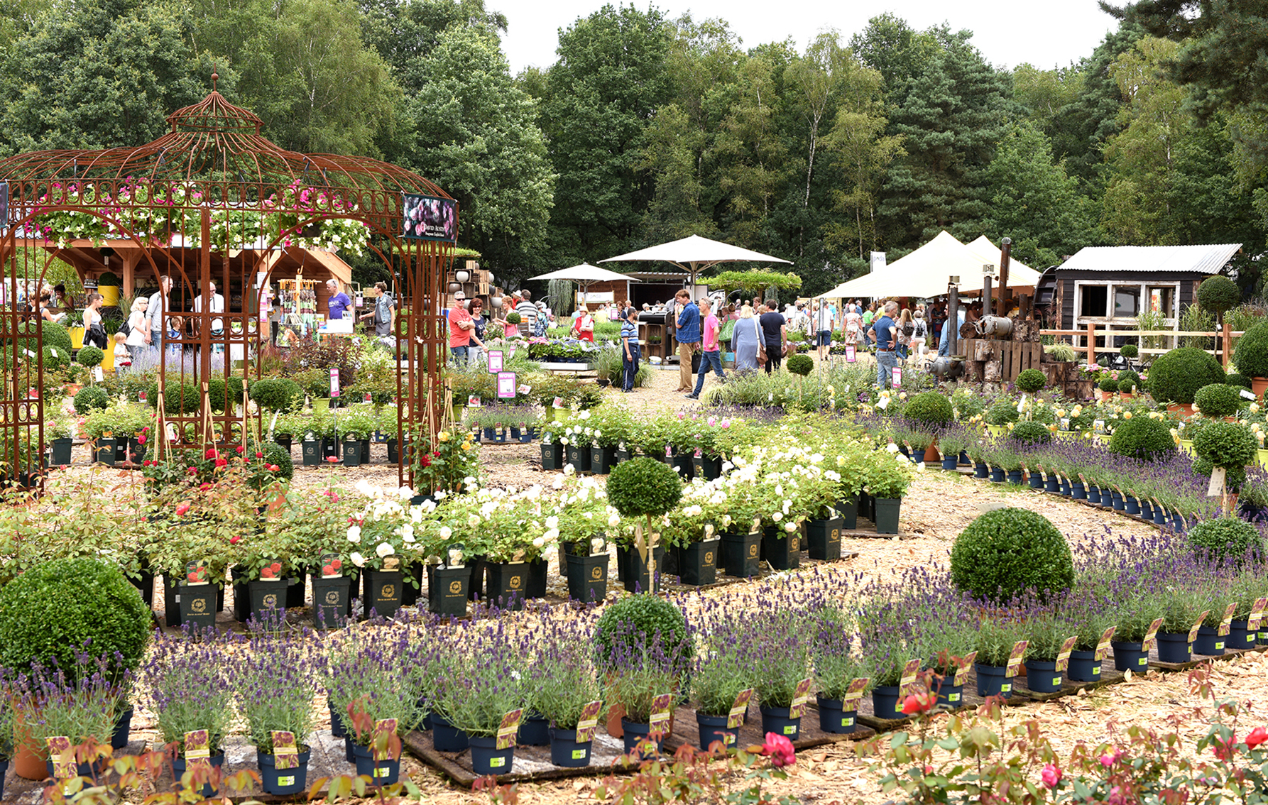 Bloem & Tuin: hét evenement voor de tuinliefhebber!