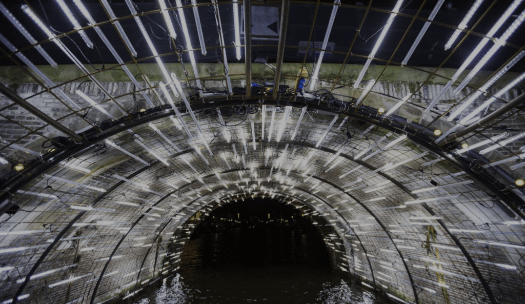 Profitez du festival de lumière d'Amsterdam depuis l'eau!