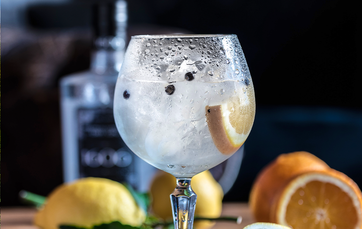 Gin Tonic workshop bij Mitra De Nieuwe Bourgondiër