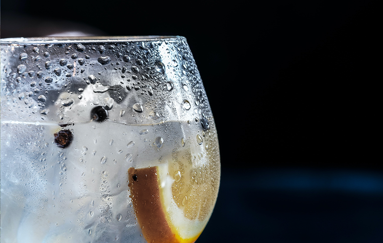 Gin Tonic workshop bij Mitra De Nieuwe Bourgondiër