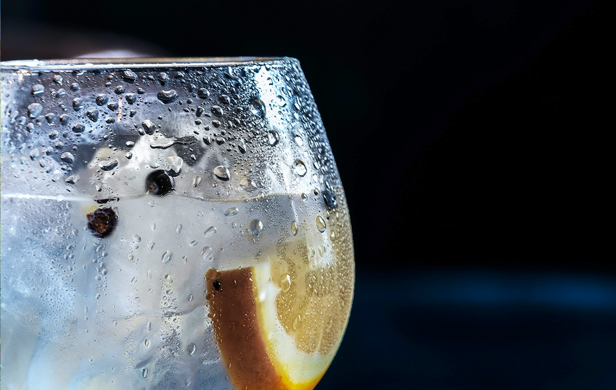 Gin Tonic workshop bij Mitra De Nieuwe Bourgondiër