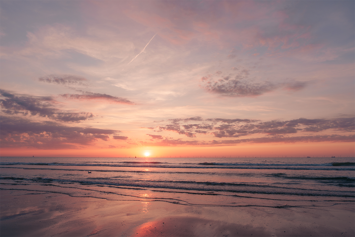 Golden Tulip Zoetermeer - Den Haag | 3 Tage stilvoll nahe Den Haag & Scheveningen | Frühstück und Abendessen