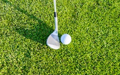 Golfbanen en cursussen