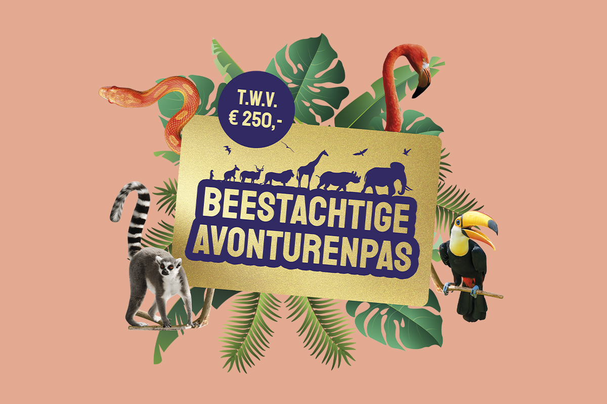 Maak GRATIS kans op de Beestachtige Avonturenpas