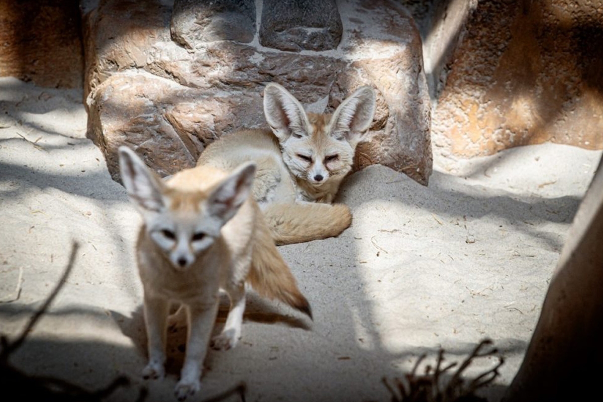 Maak GRATIS kans op een volledig verzorgde dag in Mappa Mundia