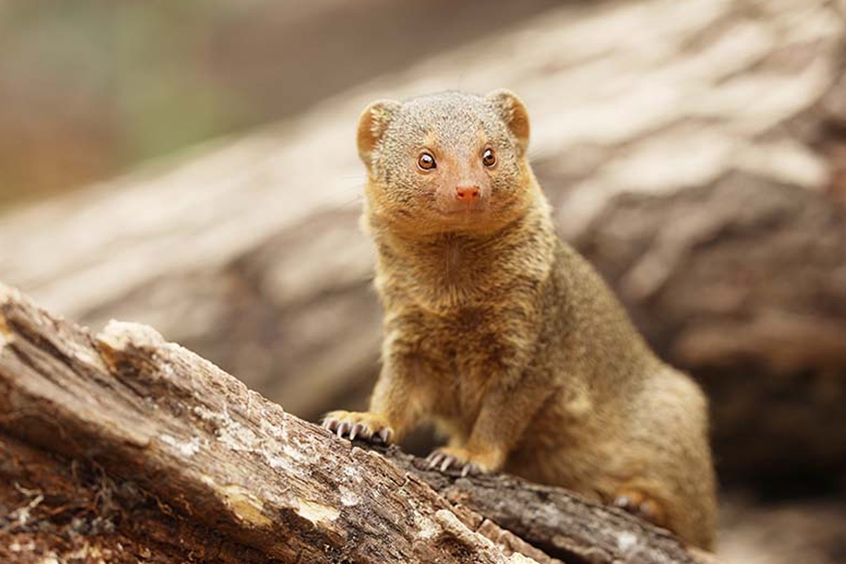 Maak GRATIS kans op een volledig verzorgde dag in Mappa Mundia