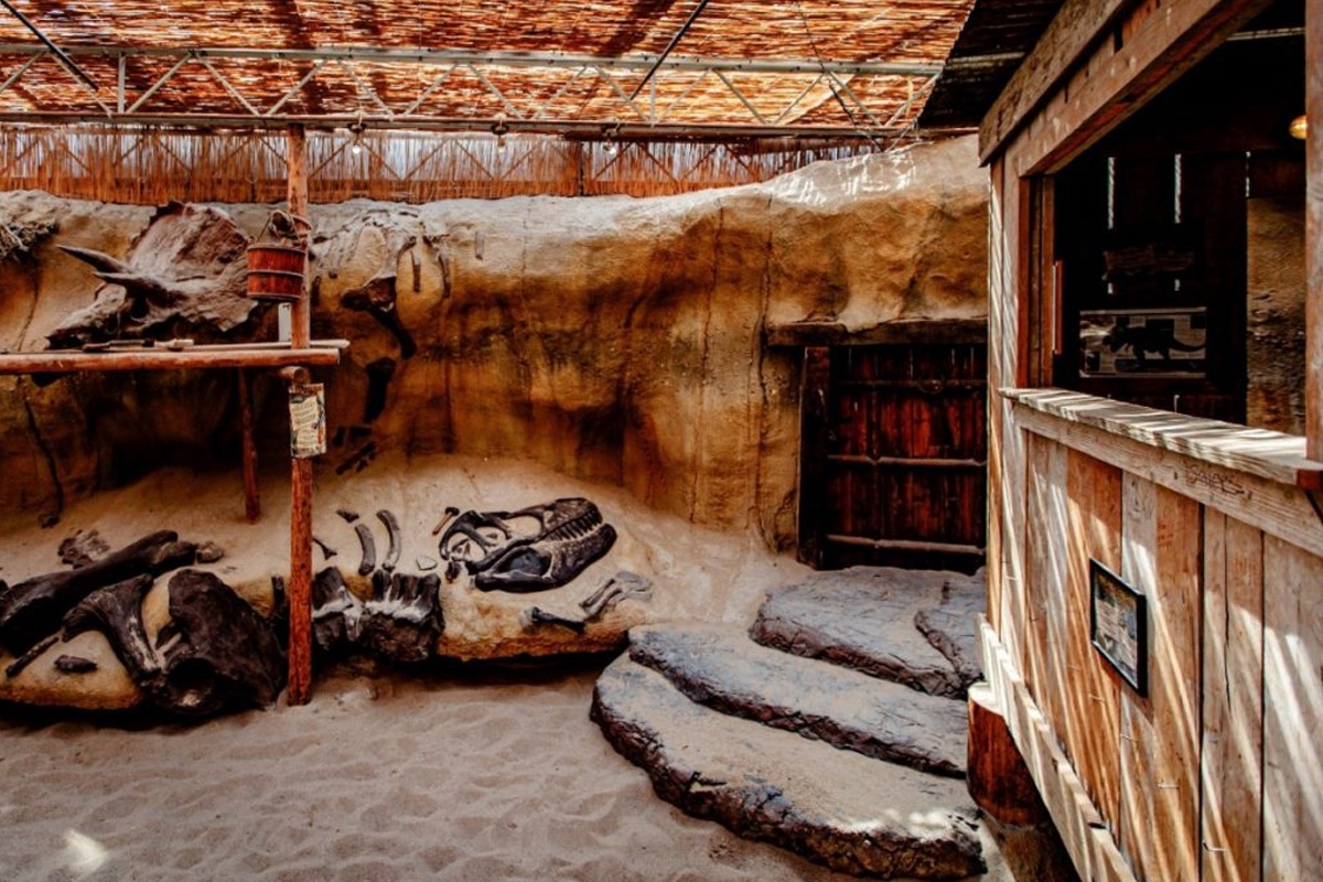 Maak GRATIS kans op een volledig verzorgde dag in Mappa Mundia