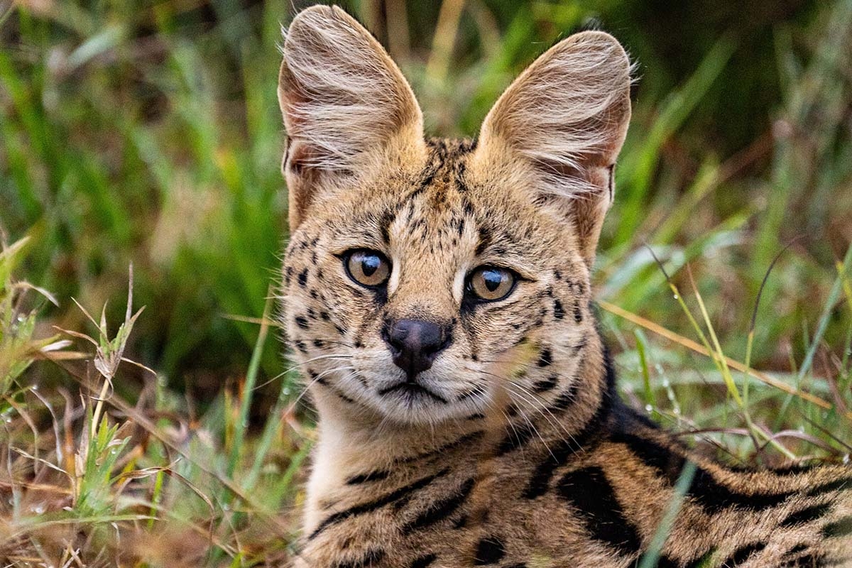 Maak kans op een Zookeeper-4-a-day arrangement bij Dierenpark ZiE-ZOO