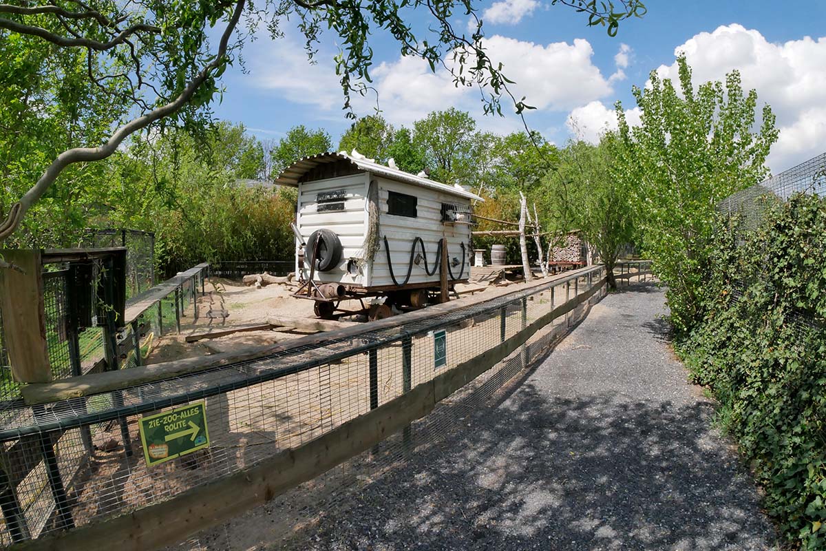 Maak kans op een Zookeeper-4-a-day arrangement bij Dierenpark ZiE-ZOO