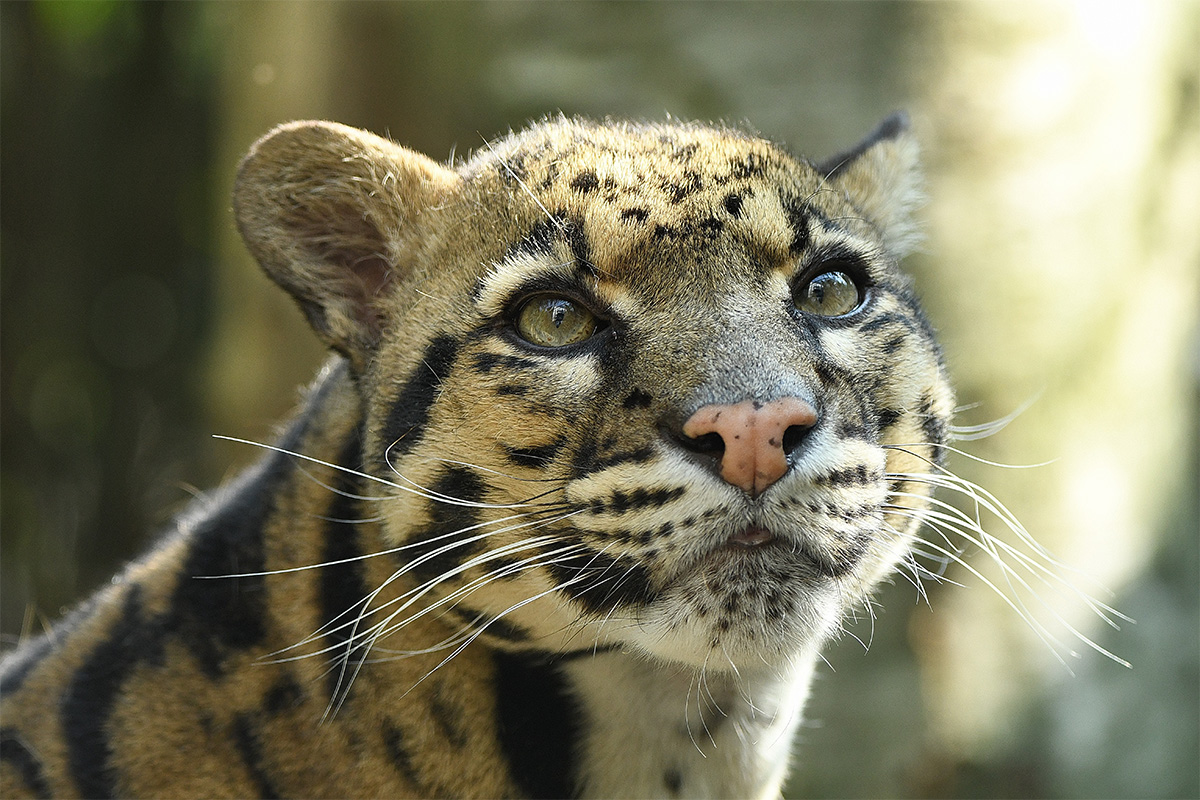 Maak kans op een Zookeeper-4-a-day arrangement bij Dierenpark ZiE-ZOO