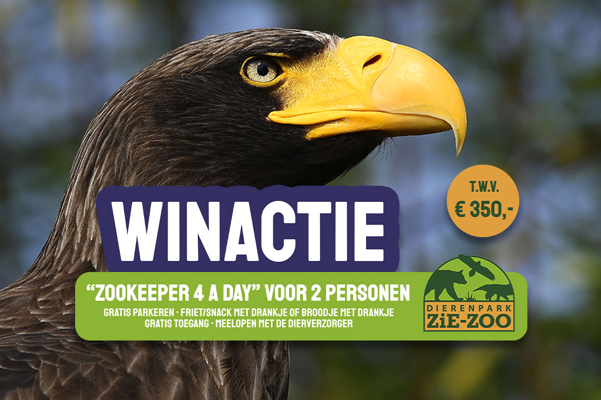 Maak kans op een Zookeeper-4-a-day arrangement bij Dierenpark ZiE-ZOO