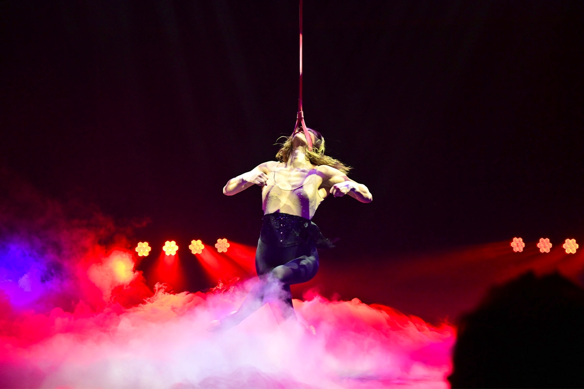 Entreeticket Groot Kerstcircus Den Haag